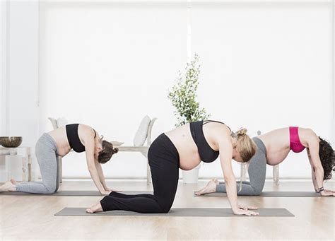 Cat cow pose benefits in pregnancy. Cat And Cow Pose Yoga Pregnancy / How to do Cat Cow Pose ...