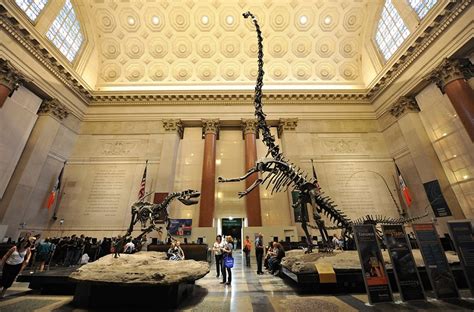 American Museum Of Natural History New York By Rail