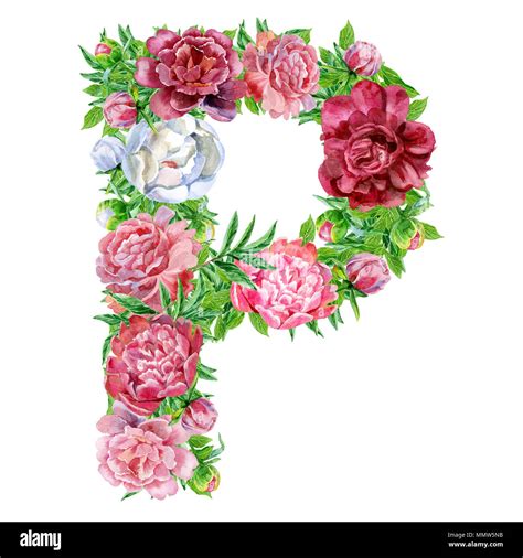 Letter P Of Watercolor Flowers Stock Photo Alamy
