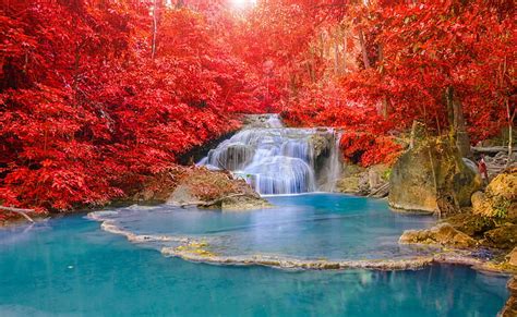 2560x1440px Free Download Hd Wallpaper Waterfalls And Red Tree