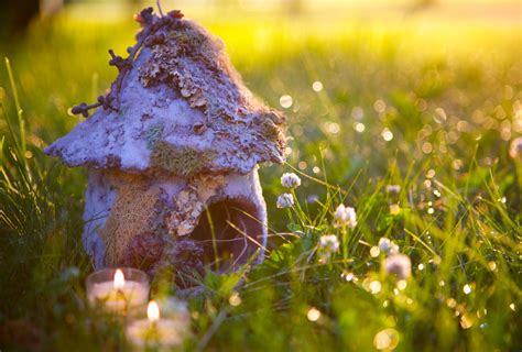 Magical Summer Woodland Fairy Photos Davonna Juroe