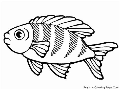 Sea Life Coloring Pages | Realistic Coloring Pages