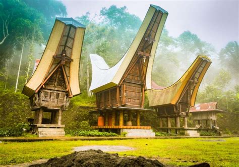 Masyrakat suku toraja menyebut rumah adatnya tongkonan. Destinasi Wisata untuk Pecinta Touring, Jalan-jalan ...