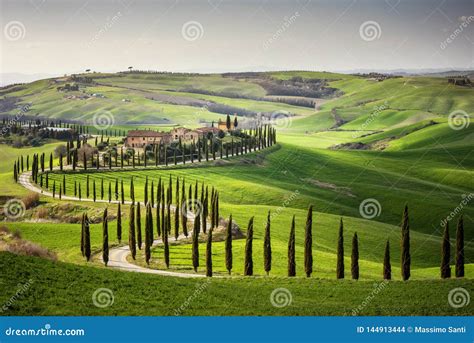 Tuscan Hill With Row Of Cypress Trees And Farmhouse At Sunset Tuscan