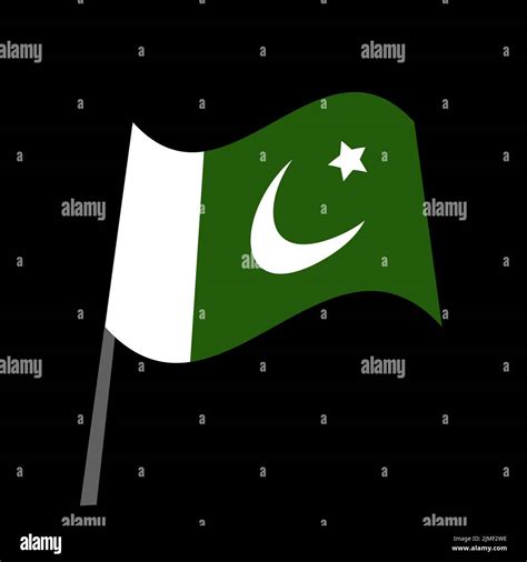 Pakistan Flag Vector Icon Pakistani Islamic Falg Stock Vector Image