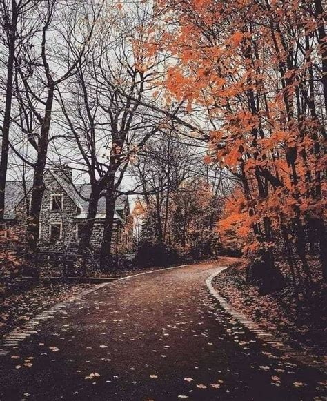 Pin By Erin Thumann On Fall Autumn Cozy Scenery Nature