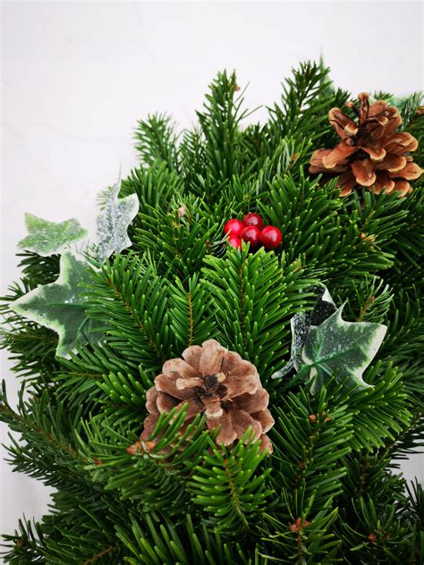 Festive Christmas Wreath - Scottish christmas trees