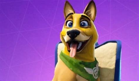 Epic Apologizes For Selling A New Fortnite Dog That Was Identical To An