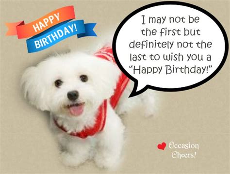 Created with love and smile. Cute Animals Birthday Wishes for Your Facebook Friends ...
