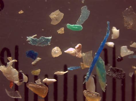 Microplastics Are Everywhere Heres What You Can Do About It