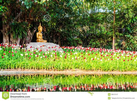 Buddha Image Under The Bodhi Tree Stock Image Image Of Tree