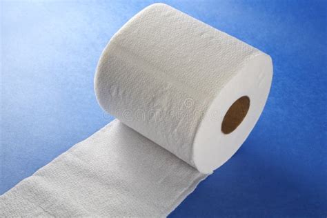Toilet Paper Unrolled Stock Photo Image Of Tissue Object 3443306