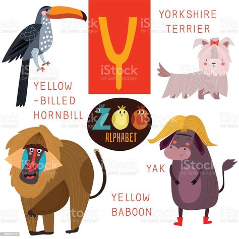 Cute Zoo Alphabet In Vectory Letter Funny Cartoon Animals Stock