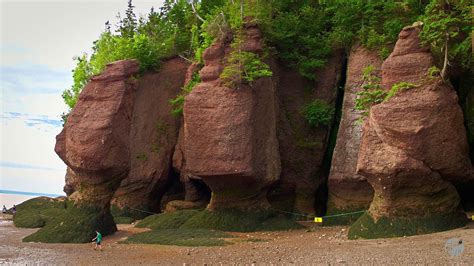 Hopewell Rocks Fundy National Park Canada Youtube