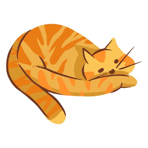 Ilustración De Gato Naranja Descargar Pngsvg Transparente