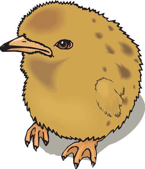 Chick Baby Chicken Farm Animal Png Picpng