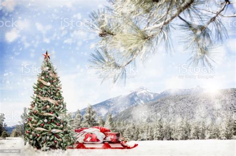 Snowy Outdoor Christmas Tree Scene In Mountains Stock Photo Download