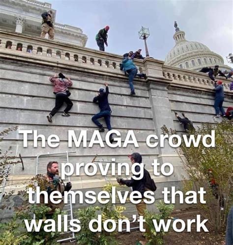 Photo The Maga Crowd Proving To Themselves That Walls Don