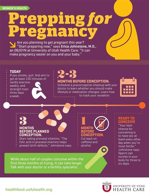 Best Infographic About Pregnancy 20 My Baby Doo Prepping For