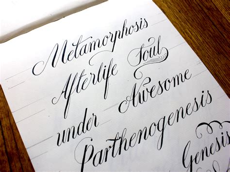 Calligraphy By Abi On Dribbble