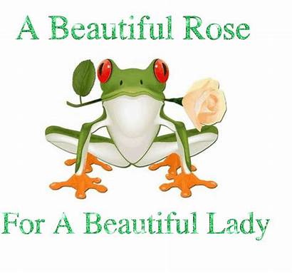 Frog Birthday Happy Animated Myniceprofile Gifer Rose