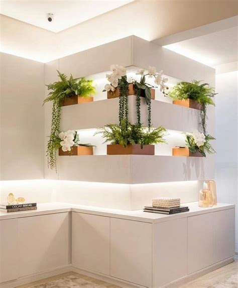 Best Indoor Plants Interior Design