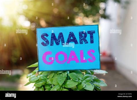 Text Sign Showing Smart Goals Business Photo Text Mnemonic Used As A