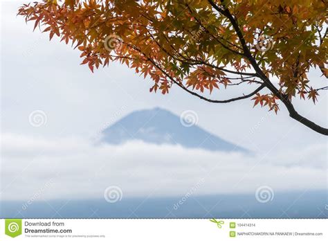 Mtfuji In Autumn Season In Japan With Maple Tree Leaves Stock Photo