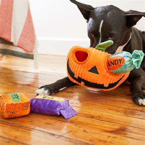 Frisco Halloween Jack O Lantern Hide And Seek Plush Puzzle Dog Toy