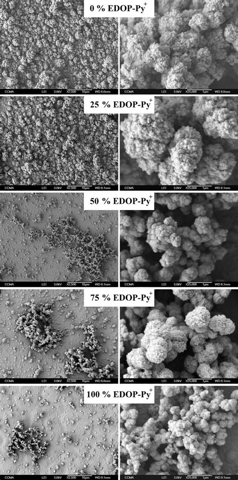 Sem Images Of The Copolymers As A Function Of The Mol Of Edop Py Vs