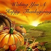 Wishing You A Happy Thanksgiving Pictures, Photos, and Images for ...