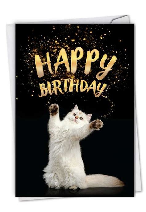 Cat Lovers Happy Birthday Card
