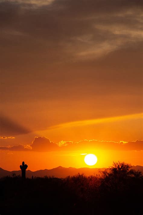 Prairies Valley Sunset Cactus Sun Hd Phone Wallpaper Peakpx