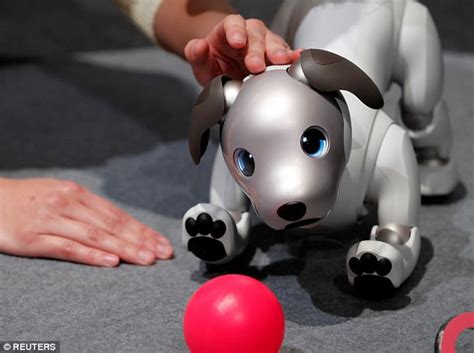 Sony Unveils Ai Robo Dog Aibo That Displays Emotions Daily Mail Online