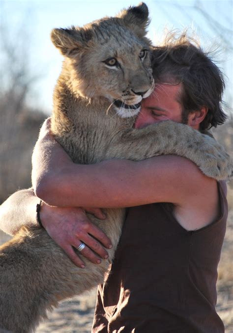 Hugging A Lion In Botswana Lioness Animals Friends Men With Cats