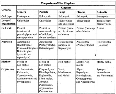 Five Kingdom Classification And Features Overall Science