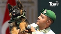 圖輯／墨西哥搜救犬救災殉職 土耳其超萌回禮「朋友」來了