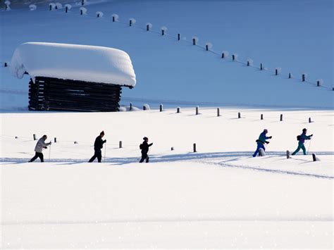 Wanderbushaltestelle und wanderwege sind in unmittelbarer nähe. Ski- und Schneevergnügen in Flachau - Haus Erika Flachau