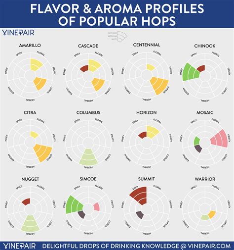 The Flavors And Aromas In Craft Beers Popular Hops Infographic Vinepair
