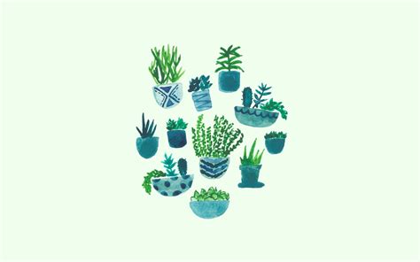 Plant Desktop Wallpaper