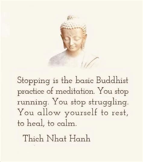 Pin By Terry Schlicht Skarbalus On Thich Nhat Hanh In 2022 Buddhist Practices Favorite Quotes