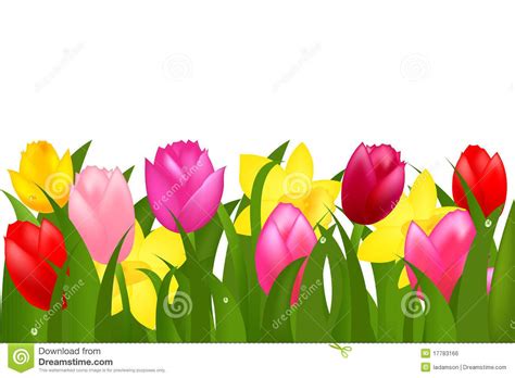 Tulip Clip Art Border 10 Free Cliparts Download Images On Clipground 2024