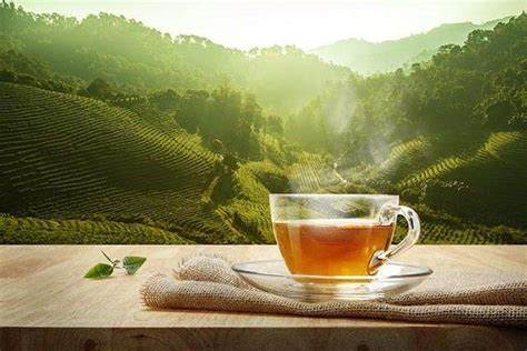 Apple pectin is believed by some to. Green Tea Side Effects You Need to Know About | Femina.in