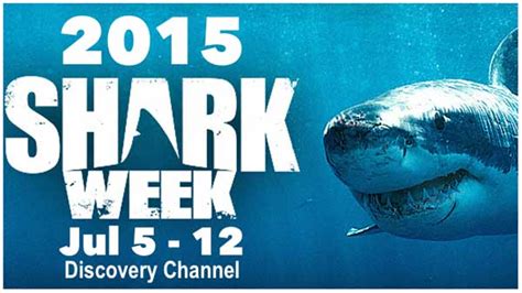 Shark Week On Discovery Channel Epic Diving