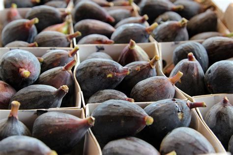 Organic Fresh Figs Produce Geek