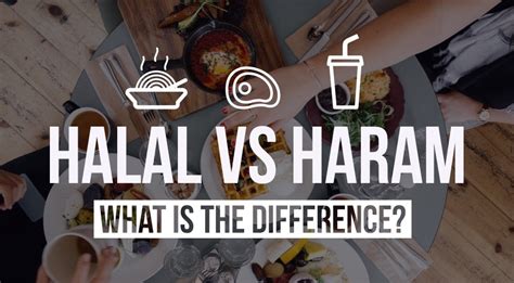 Allah, the most high, said: Halal vs Haram - What is the Difference? [How to Identify ...