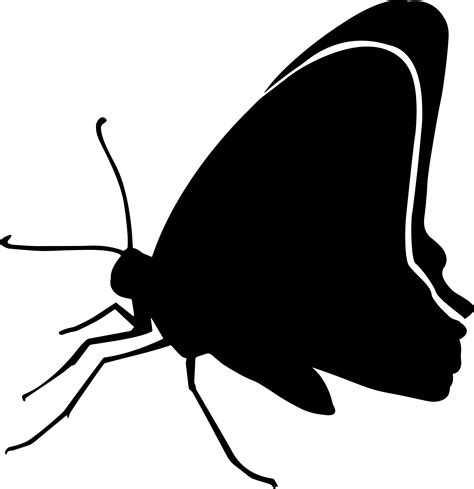Silhouette Black Butterfly Png Butterfly Silhouette Illustrations