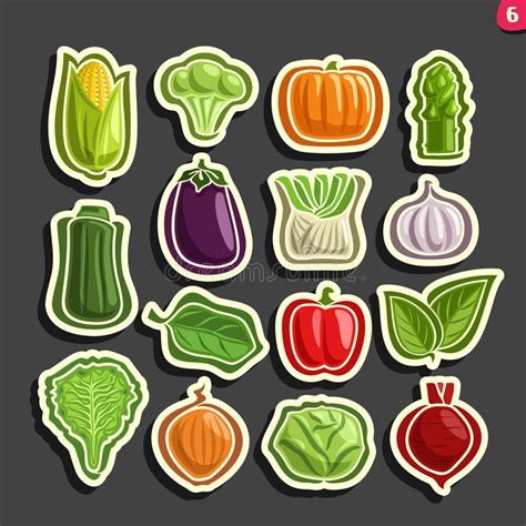 Iconos Determinados Del Vector De Verduras Frescas Ilustración Del