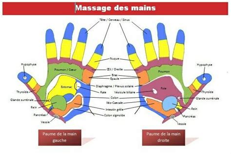 Pin By Melie Ponceau On énergies Et Spiritualité Hand Reflexology Reflexology Hand Chart