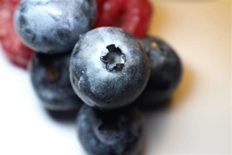 Free Images Fruit Berry Sweet Food Red Produce Blueberry Blue